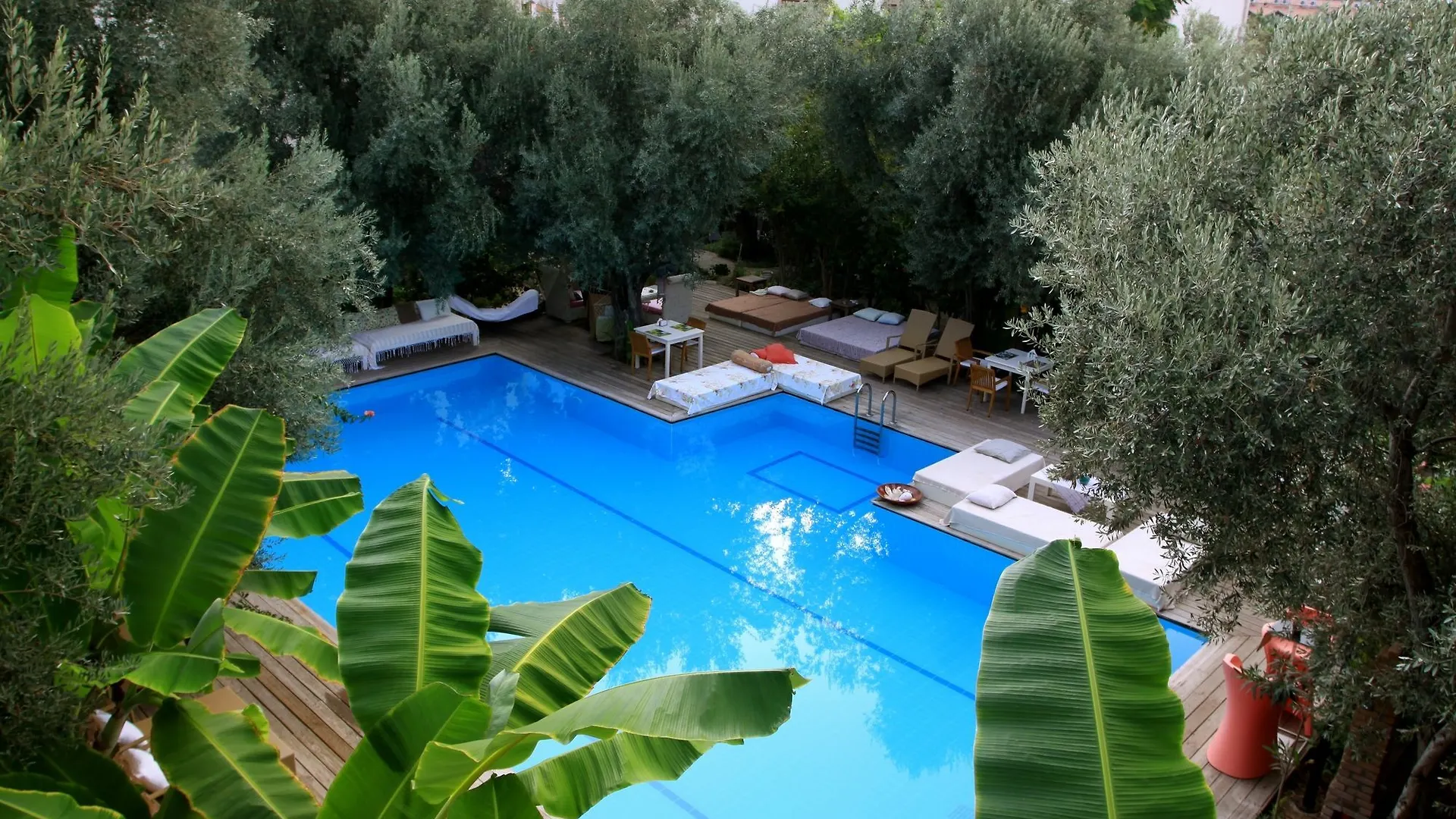 Oyster Residences - Adult Only Oludeniz 4*,
